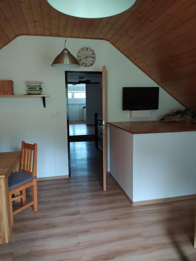U Tomicku Hotel Пасеки над Изероу Екстериор снимка
